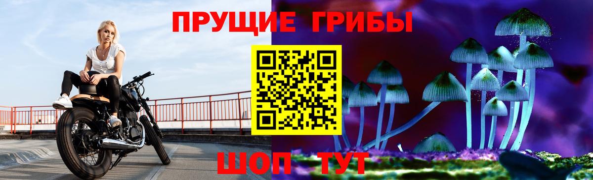 Галлюциногенные грибы Psilocybine cubensis Альметьевск